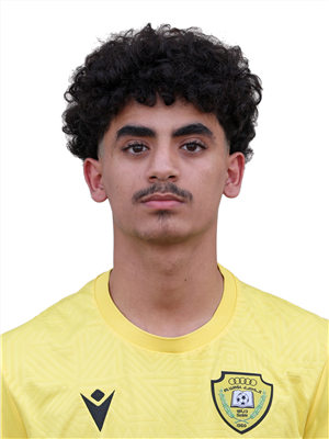 Hamzah Alawi Hussein Al Hayashi