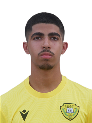 Omar Hossam Mohamed Hassan