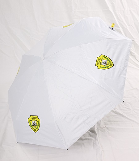 Umbrella